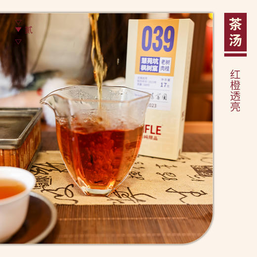 【山纯限品】（2023年）039 慧苑坑枫树窠·老树肉桂17g 商品图3