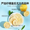 杞里香100g盒装冻干柠檬片，搭配蜂蜜柠檬花果茶酸甜好喝 商品缩略图3