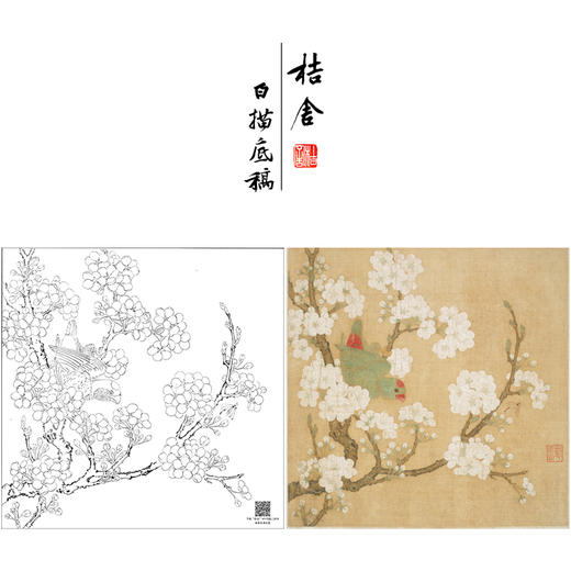 【大彩图】佚名工笔画白描底稿宋画小品《梨花鹦鹉图》临摹勾线花鸟线稿GH25 商品图0