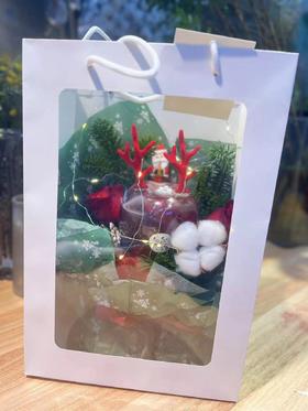 梦幻圣诞节苹果手提袋