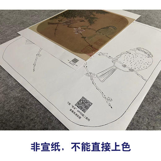 【大彩图】赵佶工笔画白描底稿宋画小品《花鸟图册》腊梅临摹勾线花鸟线稿GH30 商品图2