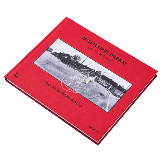 【中商原版】Mississippi Dream 进口艺术 密西西比梦 商品图2