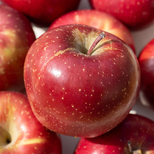 哈巴庄园富士苹果 商品图0