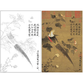 【大彩图】赵佶工笔画白描底稿《芙蓉锦鸡图》宋画临摹勾线花鸟线稿X030