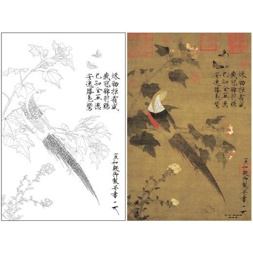 【大彩图】赵佶工笔画白描底稿《芙蓉锦鸡图》宋画临摹勾线花鸟线稿X030 商品图0