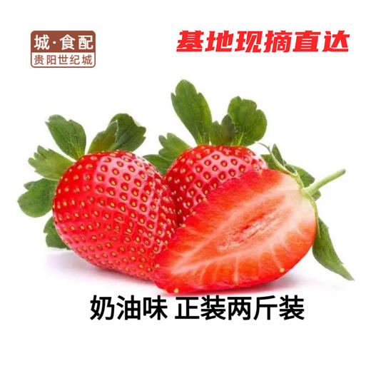 花溪草莓游鱼河有机草莓（奶油味）大中小果混装 2斤/筐【GY】 商品图0