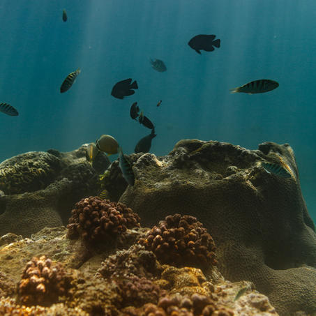 【印尼】巴厘岛|Amankila安缦丘澜（订房/查价 请咨询客服） 商品图3