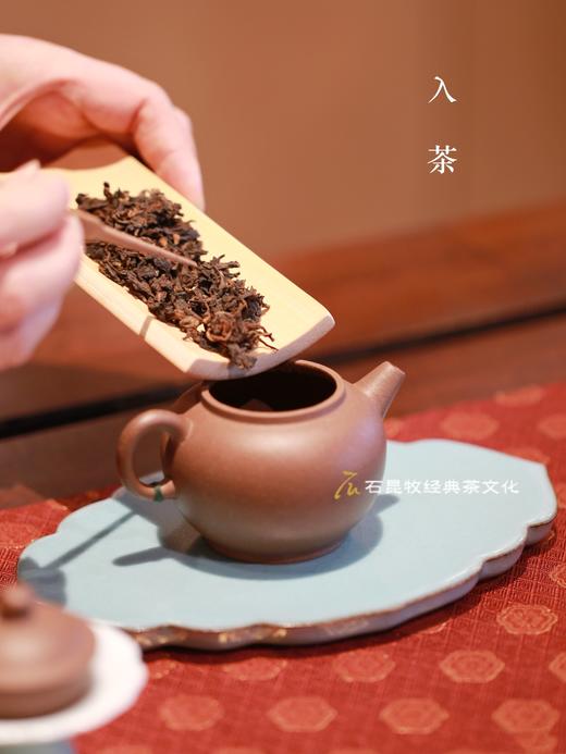 2023亦如是传奇 旗舰古树熟茶 内质丰沛有活力 石老师年度力作 商品图2