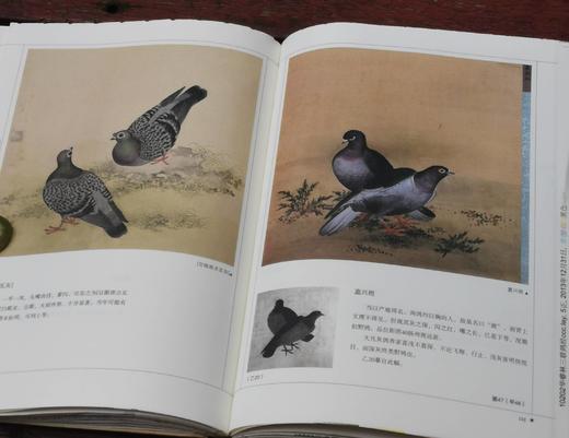 绝版毛边：《中国古代漆器》《明代鸽经 清代鸽谱》，精装，16开，王世襄著，三联书店2013年一版一印，两册售价198元，《明代鸽经  清代鸽谱》，单册98元。品相9成 商品图13