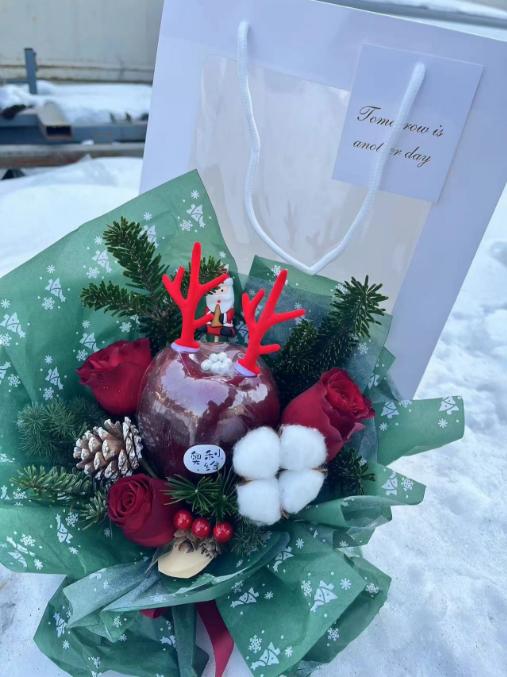 梦幻圣诞节苹果手提袋 商品图4