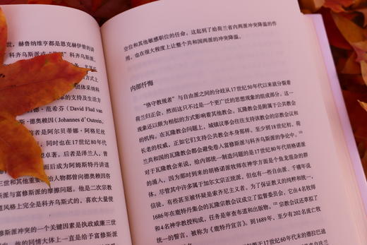 《荷兰共和国 : 崛起、 兴盛与衰落 1477—1806》 商品图4