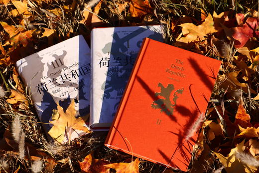 《荷兰共和国 : 崛起、 兴盛与衰落 1477—1806》 商品图5