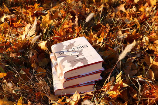 《荷兰共和国 : 崛起、 兴盛与衰落 1477—1806》 商品图7