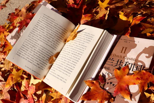 《荷兰共和国 : 崛起、 兴盛与衰落 1477—1806》 商品图2