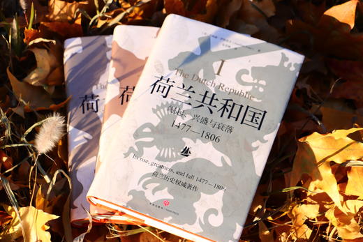 《荷兰共和国 : 崛起、 兴盛与衰落 1477—1806》 商品图9