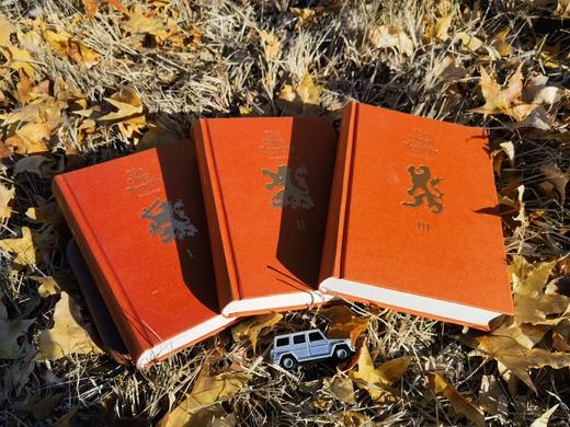 《荷兰共和国 : 崛起、 兴盛与衰落 1477—1806》 商品图10