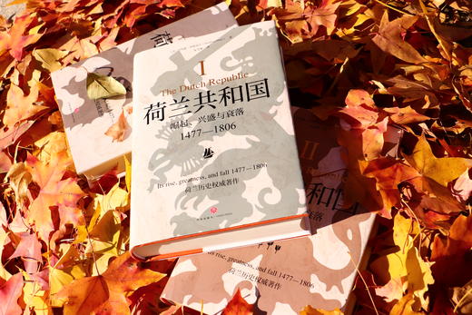 《荷兰共和国 : 崛起、 兴盛与衰落 1477—1806》 商品图1