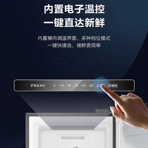 海尔(Haier)立式冰柜家用风冷无霜冷藏冷冻保鲜一键转换冷柜母婴储藏柜 【星蕴银】风冷无霜BD-210WGHS9 商品图1