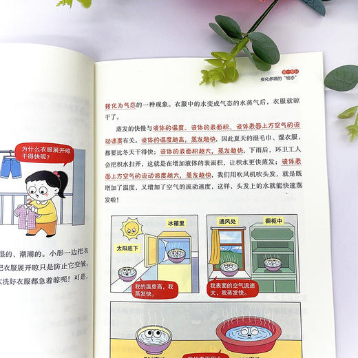 【物理百科】《太有意思了！生活中的物理》（全6册）【6-12岁】 商品图10