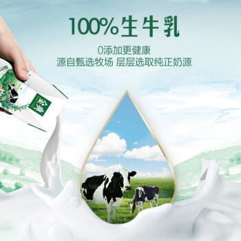 伊利【新鲜日期】金典纯牛奶早餐奶250ml*16 3.6g乳蛋白 礼盒装 2-3月 商品图1