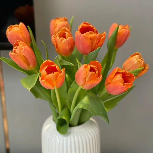 郁金香丨橙色丨10支 商品图1
