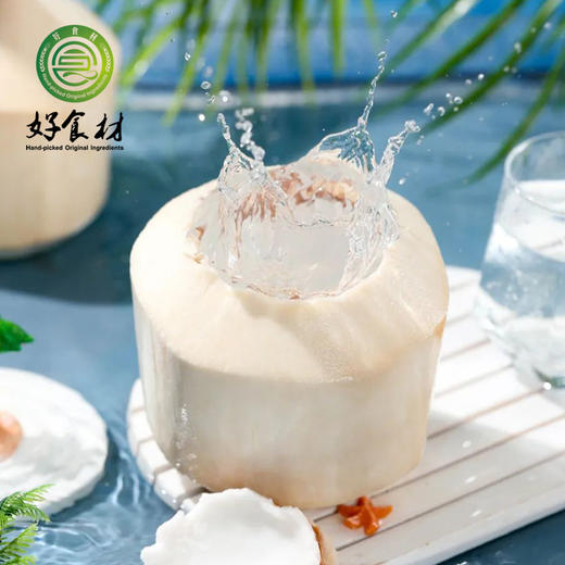 CY-泰国椰青4个装 商品图2