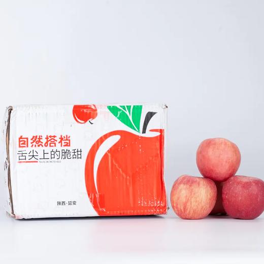 【自然搭档&东方甄选】陕西延安洛川苹果5斤装产地直发脆甜多汁 商品图10