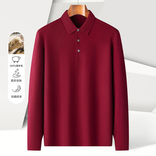 【100绵羊毛】罗蒙秋冬男装羊毛衫男保暖羊毛polo衫男长袖毛衣男 商品图5