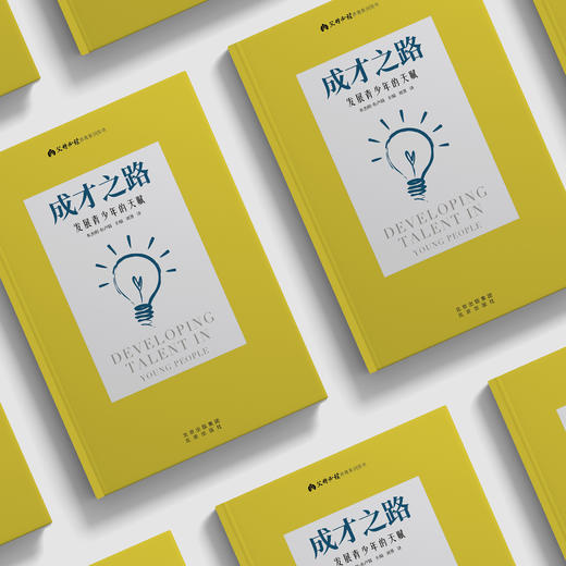 《成才之路：发展青少年的天赋》 商品图3