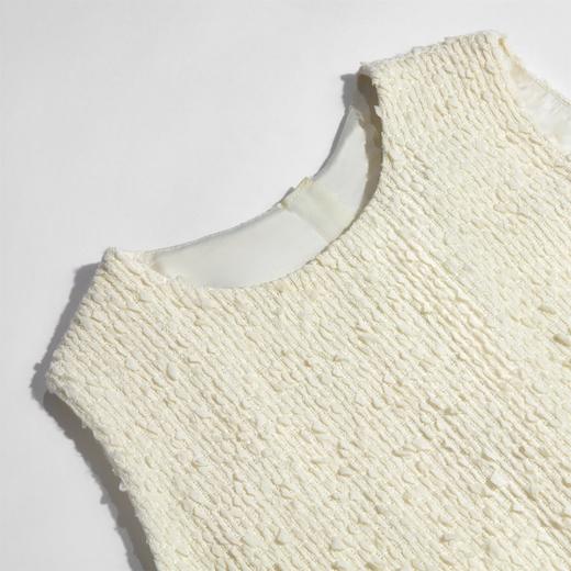 轻礼服、好莱坞艺术风-肌理粗纺流苏轻奢无袖马甲连衣裙 2101051 商品图4