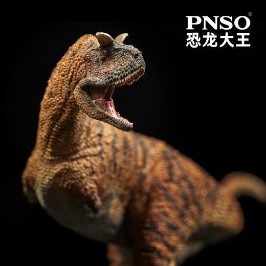PNSO恐龙大王成长陪伴模型36食肉牛龙多明戈 商品图3