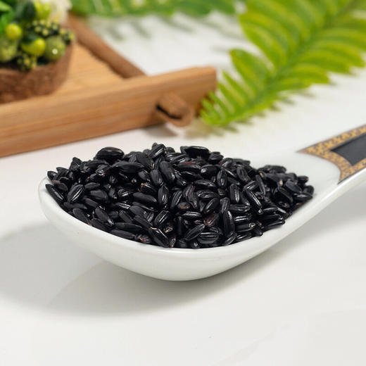 【北纯】有机黑米1.25kg 溯源 商品图2