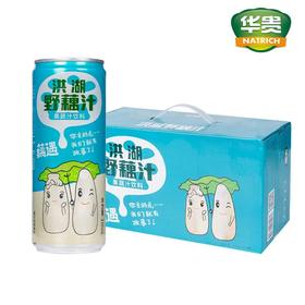 华贵洪湖野藕汁310ml＊12