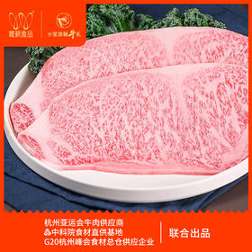 唯新 小笙浙箱牛礼G20尊选15888型牛排套餐礼盒