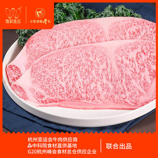 唯新 小笙浙箱牛礼G20尊选15888型牛排套餐礼盒 商品图0