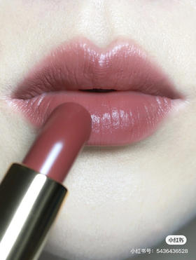 香奈儿秋季限定黑管口红-199号色