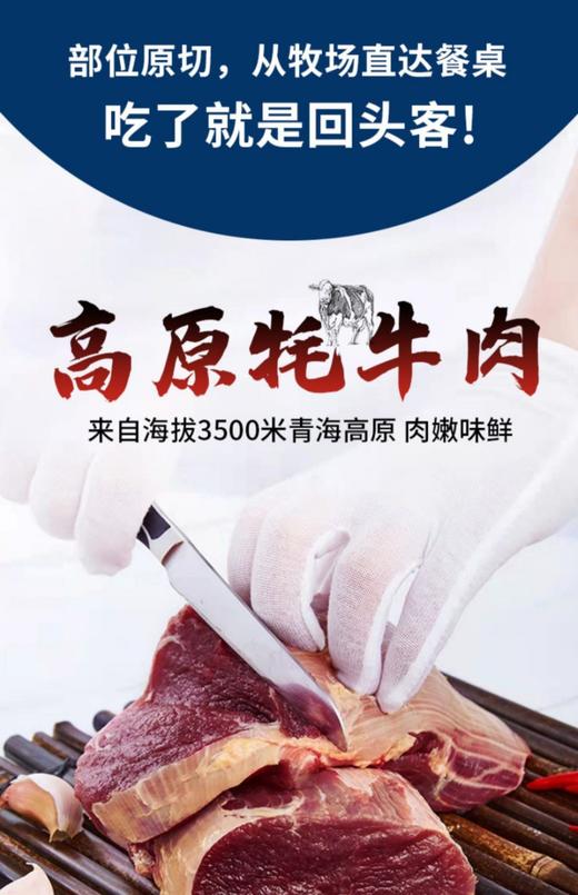 川~野生牦牛肉发顺丰 商品图6