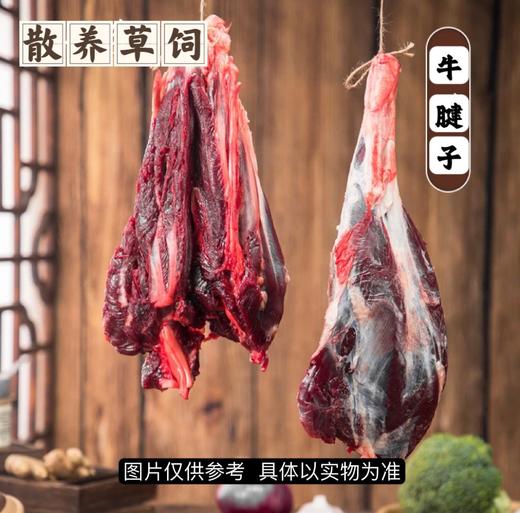 川~野生牦牛肉发顺丰 商品图4