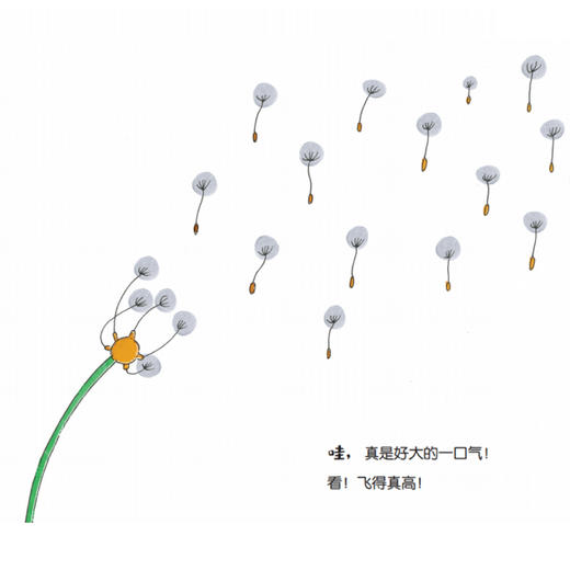 “快来和我一起做！”系列：《摇一摇》《晃一晃》《挠一挠》（全3册） 商品图5