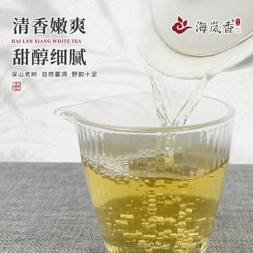海岚香  荒野白茶贡眉 雅风系列  50g*6盒/件 商品图4