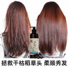 【第2瓶半价】广药白云山何首乌洗发水  500ml/瓶 商品缩略图4