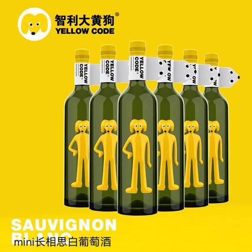智利大黄狗长相思干白葡萄酒750ml/瓶 商品图2