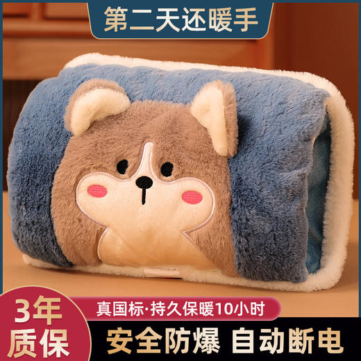 热水袋充电式暖宝宝防爆电暖手暖水袋女生用毛绒可爱暖被窝暖手宝，注：下单请备注款式和颜色 商品图2