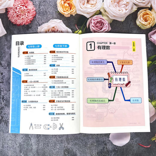 【初中数学】《数学私房课-思维导图》全3册 赠送230节视频微课【10-15岁】 商品图3