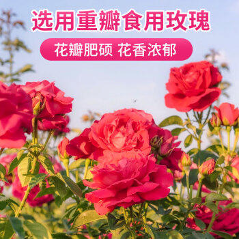 阿依郎 玫瑰花酱1kg（甜品冲饮厨房调味料 蜂蜜果酱冰粉烘焙馅料配料） 商品图7