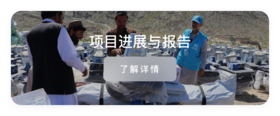 公益项目 - 项目进展与报告