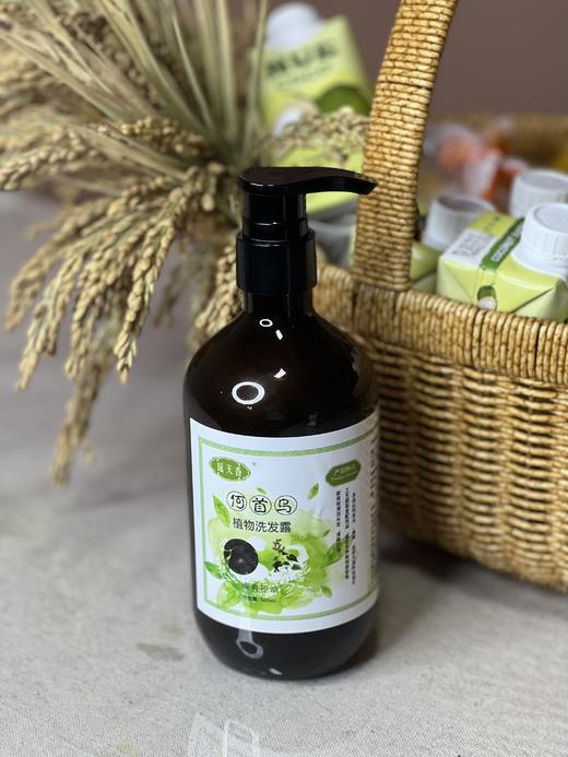 包邮 何首乌植物洗发露  500ml/瓶  | 瑶天香 商品图3