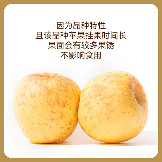 山东威海/烟台  黄金维纳斯苹果  多规格任选 商品图5