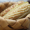 聚怀斋云南小花糯玉米3斤装 真空粘玉米 黏玉米 礼盒装 商品缩略图2