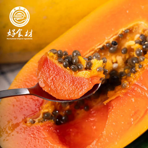 CY-红心木瓜4-4.5斤 商品图1